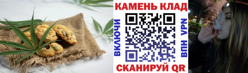 Купить закладки  Шенкурск  Canna-Cookies марихуана 