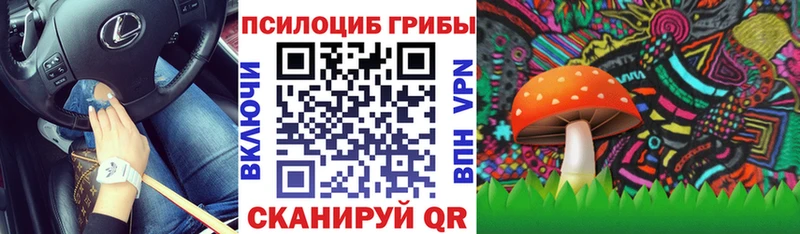 Псилоцибиновые грибы MAGIC MUSHROOMS  Купить закладки  Шенкурск 